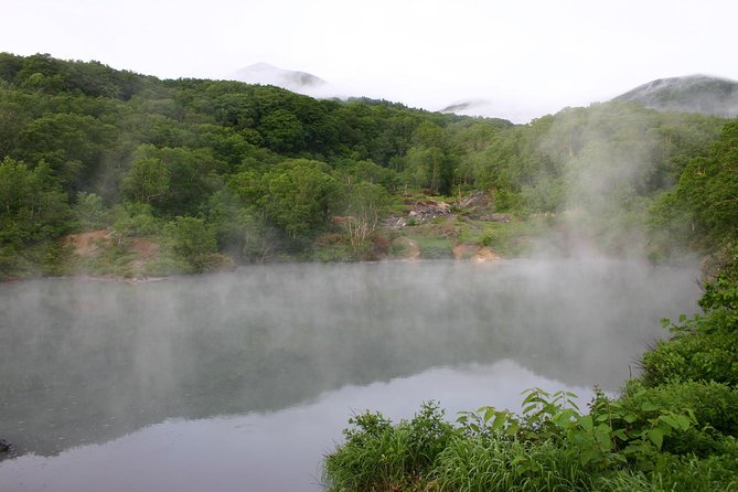 Half-Day Private Guided Japanese Hot Spring Experience - Logistics
