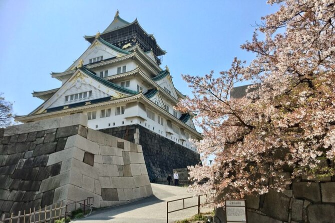 Half-Day Private Guided Tour to Osaka Castle - Operational Guidelines