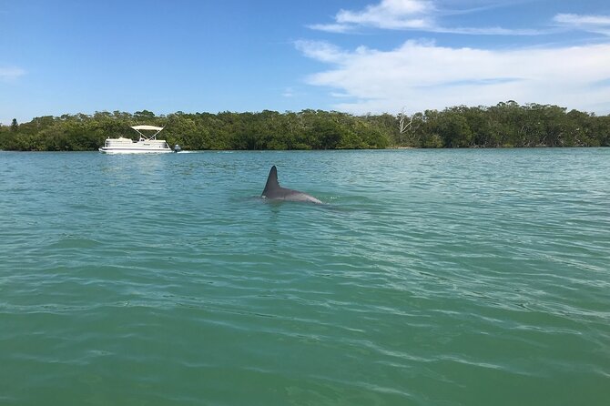 Half-Day Private Sarasota Charter Tour With Wildlife Watching - Pricing and Terms