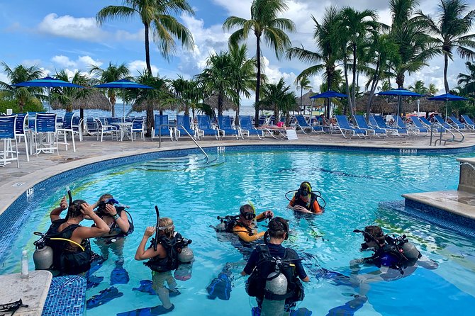 Half Day Scuba Diving Trip in the Florida Keys - Inclusions: Water, Equipment, Towels Provided