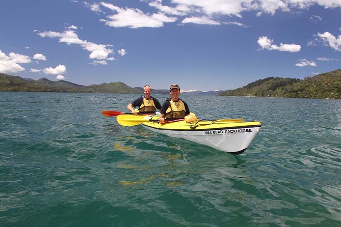 Half Day Sea Kayak Guided Tour From Picton - Experience Highlights