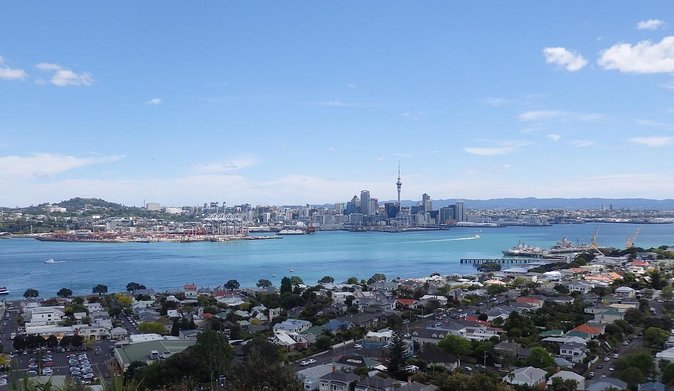 Half-Day: Small Group Auckland Scenic Tour - 4 HOURS - Guide Experience and Customer Feedback