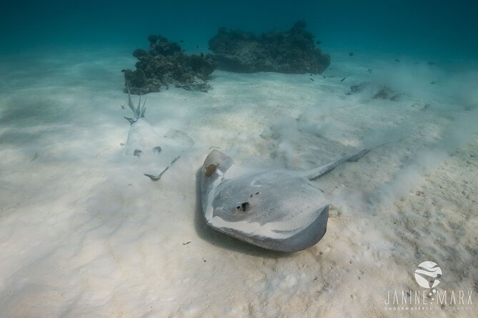 Half Day Snorkel 2.5hr Turtle Tour on the Ningaloo Reef, Exmouth - Convenient Transportation Options