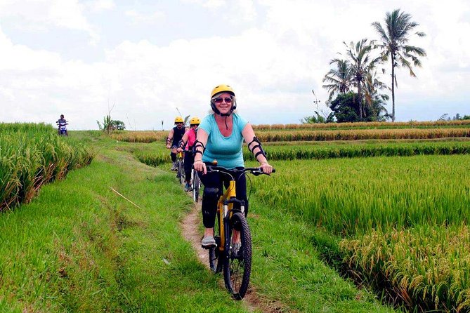 Half-Day Ubud Rice Field and Village Cycling Tour - Tour Highlights and Flexibility