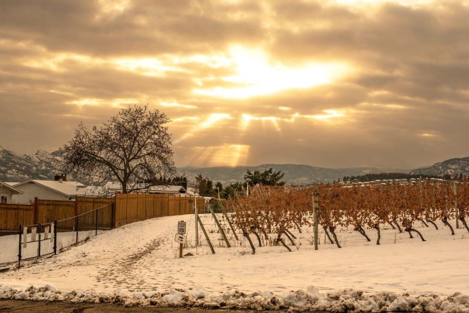 Half-Day West Kelowna Wine Tour - Detailed Tour Description