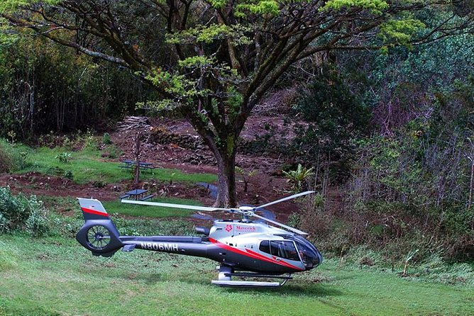 Hana Rainforest Helicopter Flight With Landing From Maui - Customer Reviews