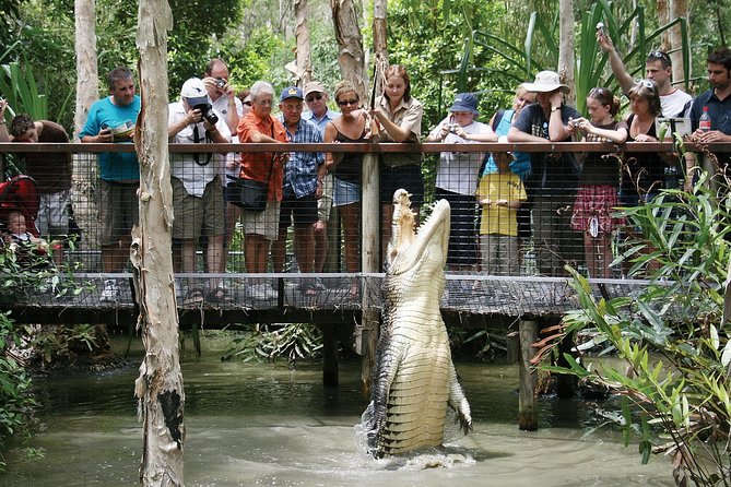Hartleys Crocodile Adventure Half-Day Tour - Boat Tour and Crocodile Encounter