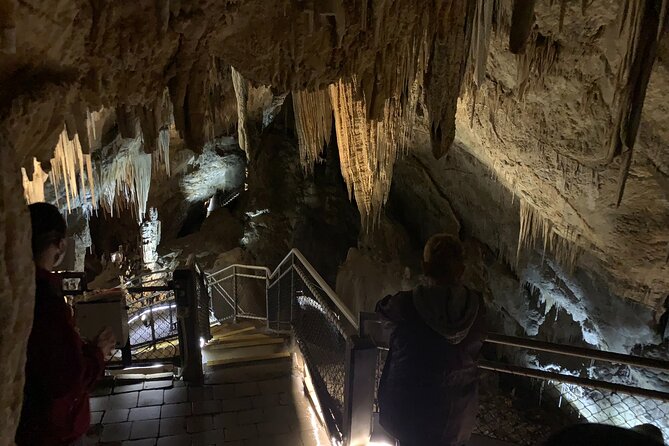 Hastings Caves, Tahune and Huon Valley Full Day Tour From Hobart - Guide Selection and Importance