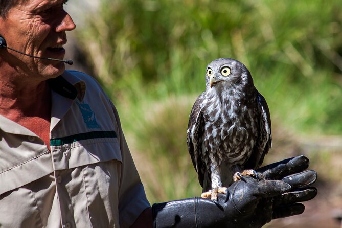 Healesville Sanctuary And Phillip Island Wildlife Bus Tour - Booking and Pricing Information