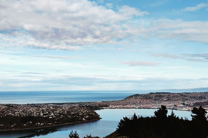 Heritage City and Larnach Castle Van Tour With Historian Guide - Guide Expertise Insights