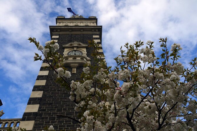 Heritage Dunedin City Walking Guided Tour - Traveler Feedback