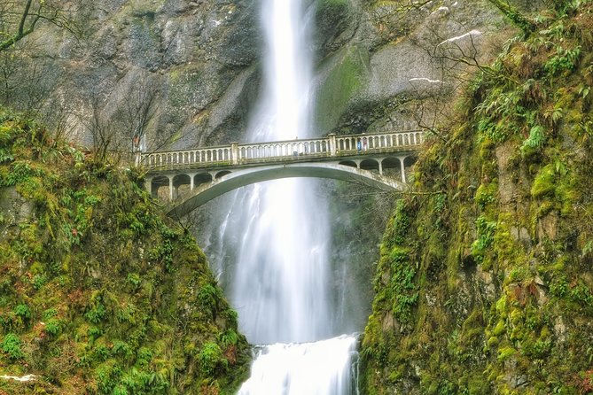 Hike and Bike Tour to Columbia River Gorge Waterfalls - Traveler Reviews and Experiences