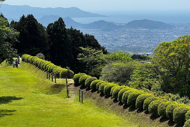 Hike Japan Heritage Hakone Hachiri With Certified Mountain Guide - Heritage Sites Along the Route