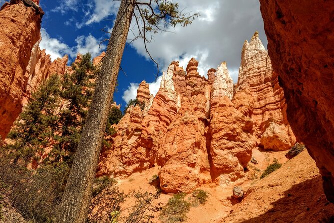 Hiking Experience in Bryce Canyon National Park - Additional Guidelines