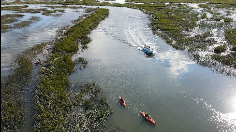 Hilton Head: Calibogue Sound Private Dolphin Boat Charter - Highlights of the Tour