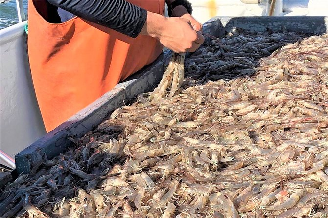 Hilton Head Shrimp Trawling Boat Cruise - Customer Satisfaction and Engagement