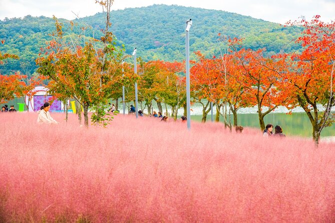 Historic and Natural Beauty- Gyeongju Autumn Foliage Day Tour - Insider Tips