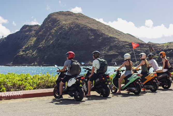 Honolulu Hawaiian-Style Moped Full-Day Rental  - Oahu - Customer Feedback