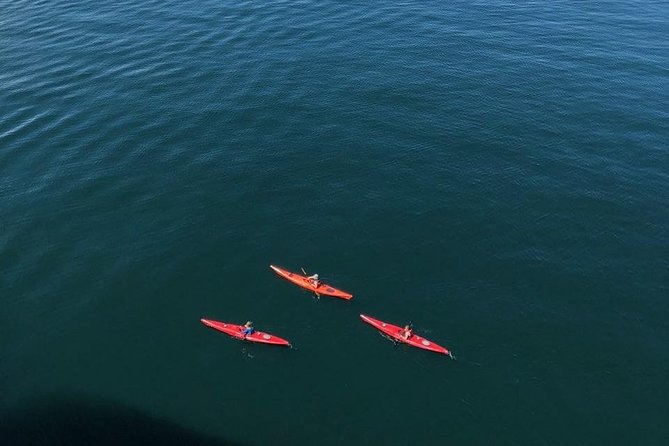 Hoonah Small-Group Kayak Tour - Traveler Reviews