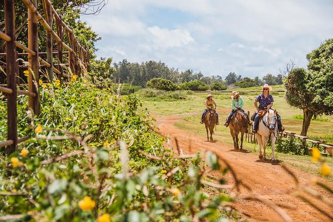 Horseback Ride Like an Authentic Paniolo in Kahuku - Key Points