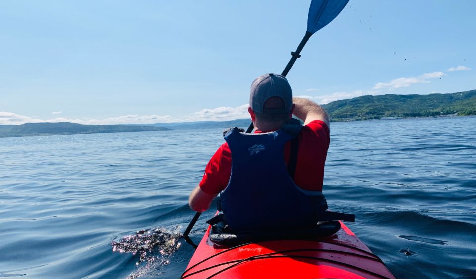 Humber Arm South: Bay of Islands Guided Kayaking Tour - Full Description