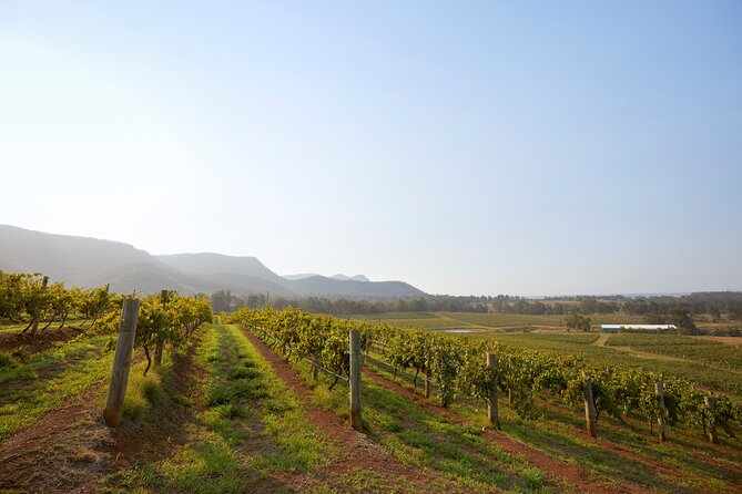 Hunter Valley Small Group Wine, Gin and Cheese Tour From Sydney - Reviews and Recommendations