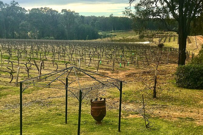 Hunter Valley Wine Tasting Lunch Guided Day Tour - Refund Policy