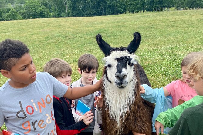 Hyde Park NY, Llama/ Alpaca Hike and Farm Tour  - The Catskills - Inclusions and Exclusions