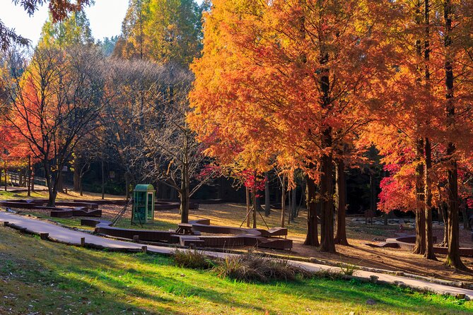 Instagrammable Autumn Foliage Tour From Seoul - Inclusions and Amenities