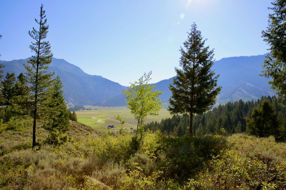 Jackson Hole: Bryan's Flat Guided Scenic Horseback Ride - Safety Guidelines