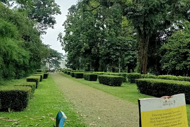 Jakarta Bogor Botanical Garden, Waterfall and Rice Terrace, Lunch - Cancellation Policy Information