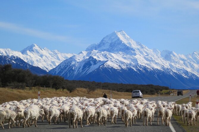 [Japanese Guide] Christchurch-Mount Cook Special Pick-up Plan - Memorable Tour Experience