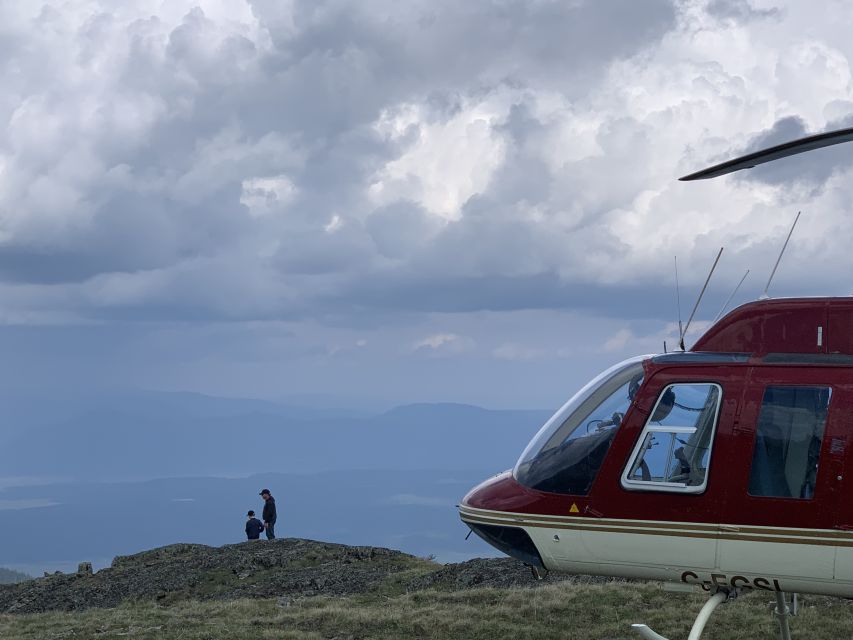 Jasper: Helicopter Tour With Mountain Top Landing and Hike - Customer Testimonials