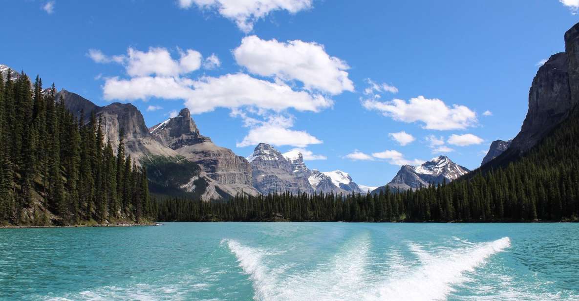 Jasper: Maligne Valley Wildlife Watching & Boat Tour - Tour Activities