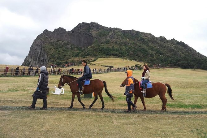 Jeju Island Private Taxi Tour : 2 Full Days - Traveler Engagement Features