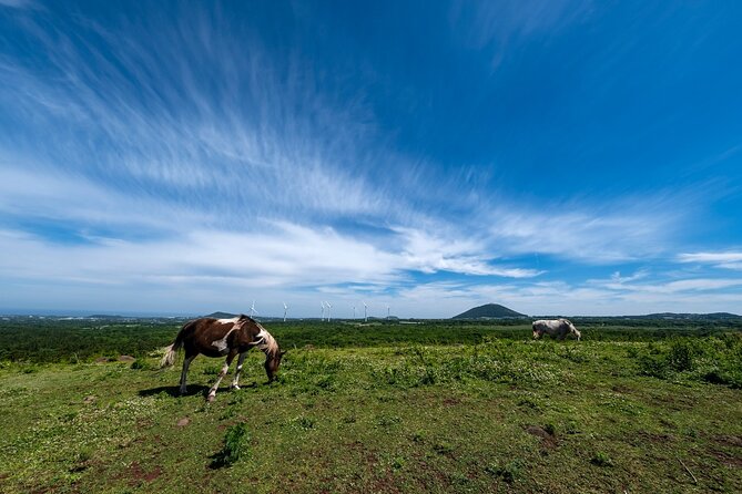 Jeju Island UNESCO Heritage Bus Tour - Booking Information