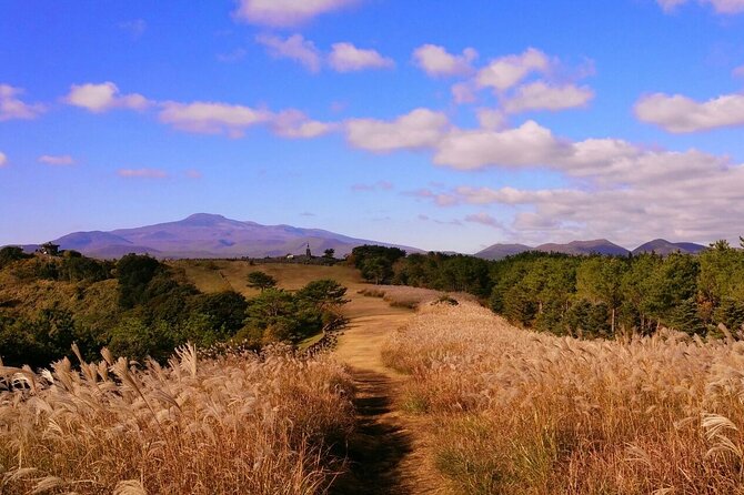 Jeju Private Package Tour East of Jeju Island (Unesco & Heritage) - UNESCO Sites Visited