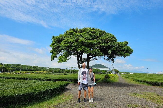 Jeju Private Tour Package-South of Jeju(Mt.Hallasan & Waterfalls) - Booking Information
