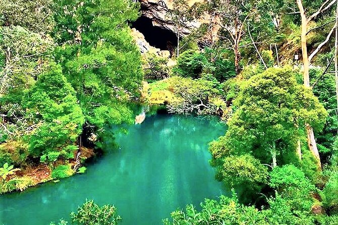 Jenolan Caves Blue Mountains Day Tour River Cruise - Reviews