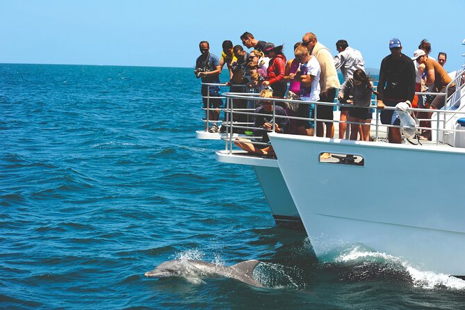 Jervis Bay Boom Netting and Dolphins Tour - Booking and Pricing Information