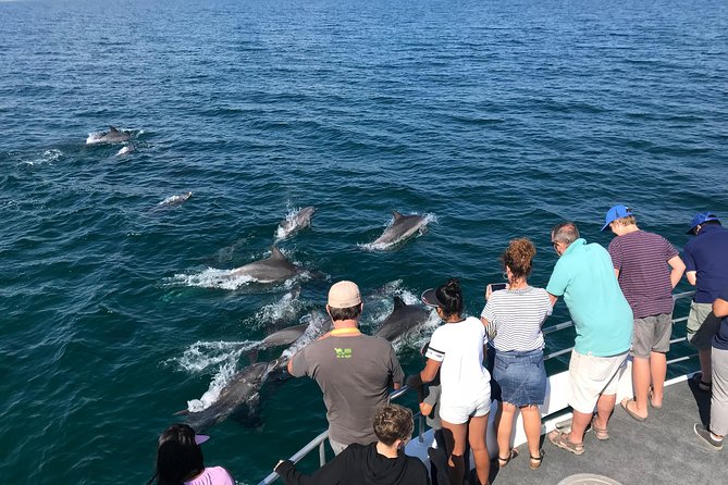 Jervis Bay Dolphin Cruise - Accessibility and Accompanied Children