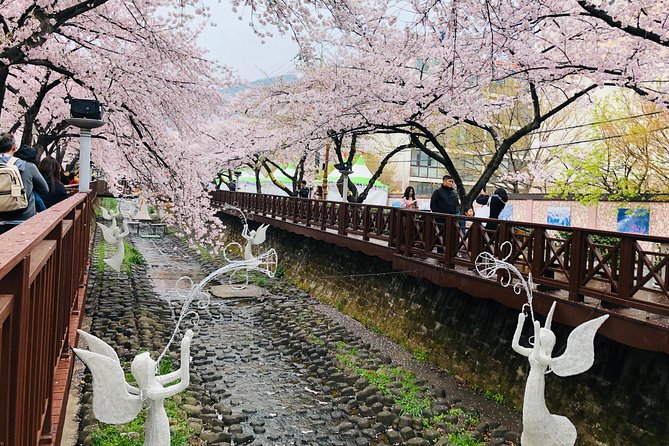 Jinhae Cherry Blossom and Busan Sunrise Tour From Seoul - Reviews and Traveler Feedback