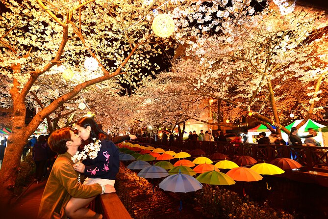 Jinhae Cherry Blossom Festival Tour - Booking Information