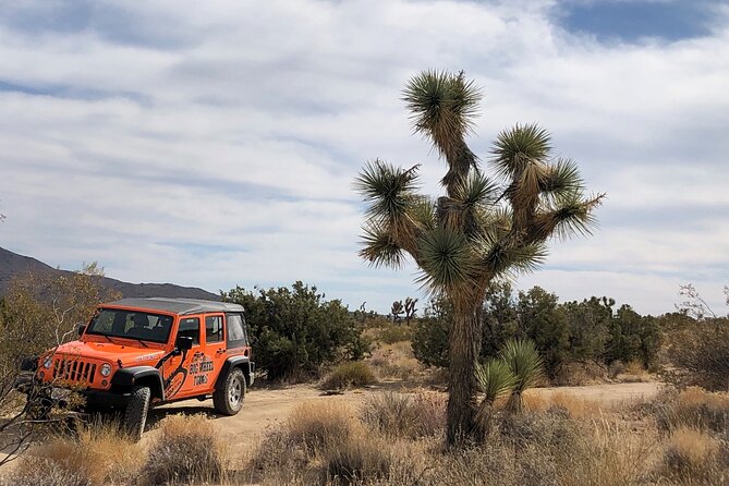 Joshua Tree National Park Offroad Tour - Tour Highlights and Experiences