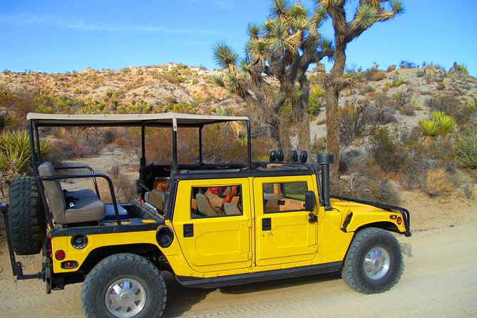 Joshua Tree Open Air Hummer Adventure - Guide Expertise