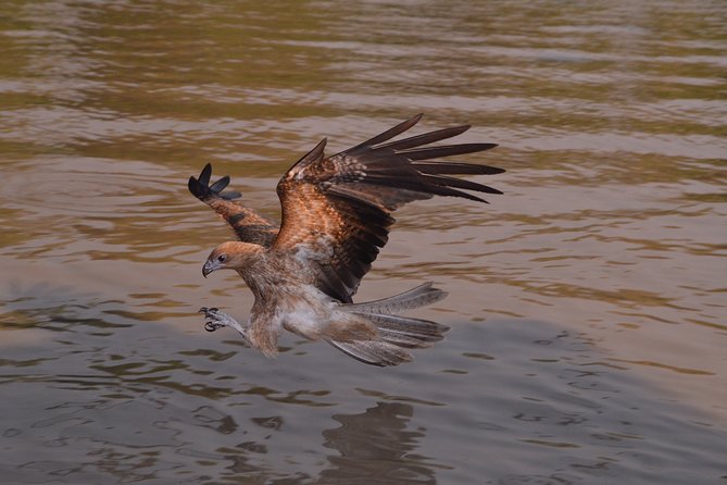 Jumping Crocodile Cruise With Lunch - Booking Details