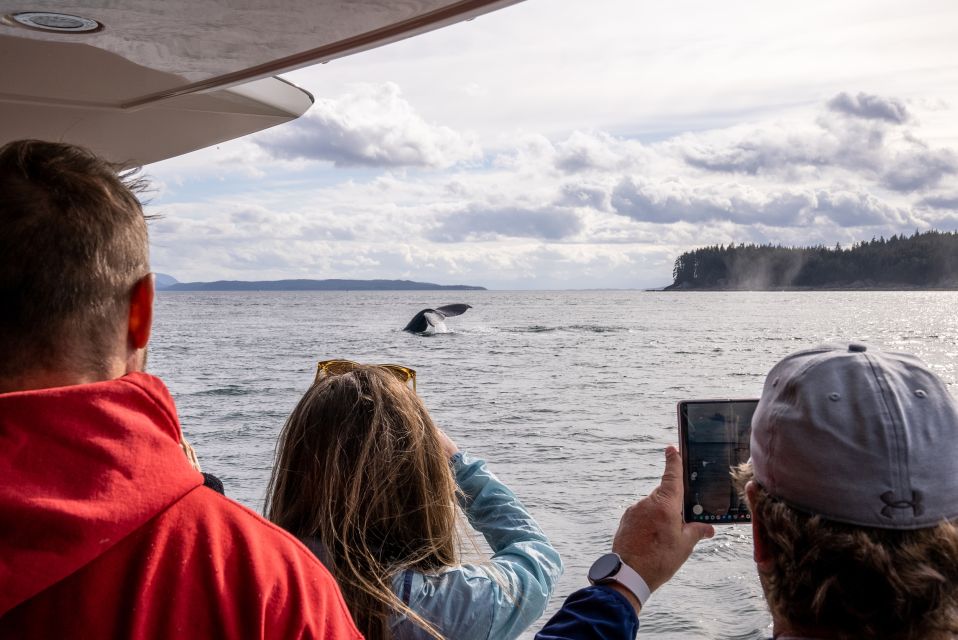 Juneau: All Inclusive Luxury Whale Watch - Locally Sourced Refreshments