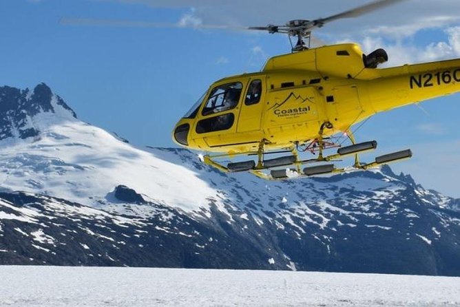 Juneau Shore Excursion: Helicopter Tour and Guided Icefield Walk - Reviews and Ratings