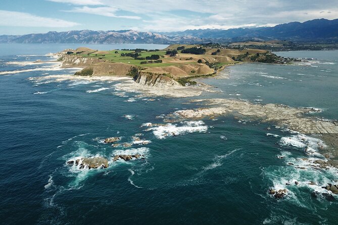 Kaikoura Day Tour With Kayak Experience From Christchurch - Booking Information