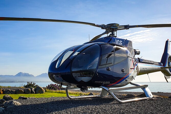 Kaikoura Helicopters Extended Whale Watch Flight - Expectations